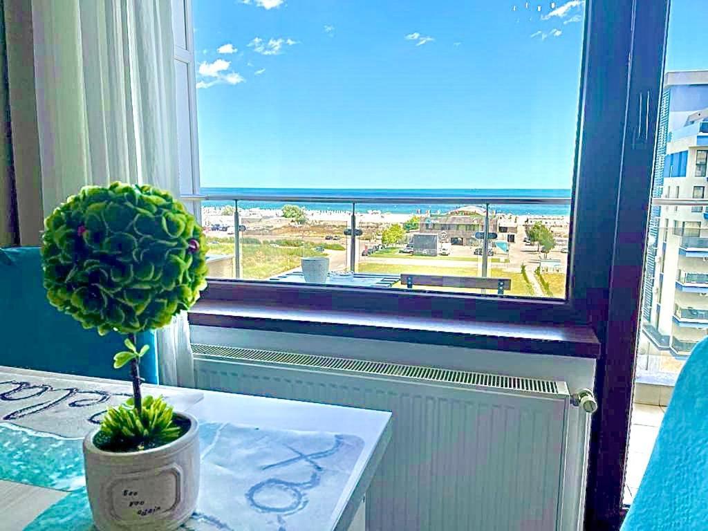 Summerland Seaview Mamaia